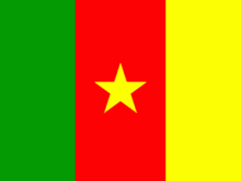 Flag Of Cameroon