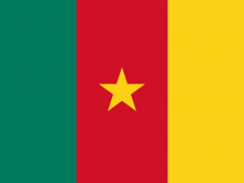 Flag Of Cameroon