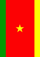 Flag Of Cameroon