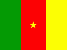 Flag Of Cameroon