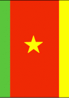 Flag Of Cameroon