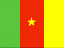 Flag Of Cameroon