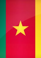 Flag Of Cameroon