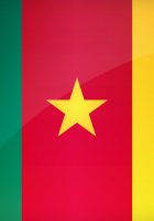 Flag Of Cameroon