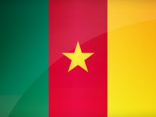Flag Of Cameroon