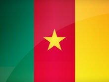 Flag Of Cameroon