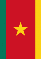 Flag Of Cameroon